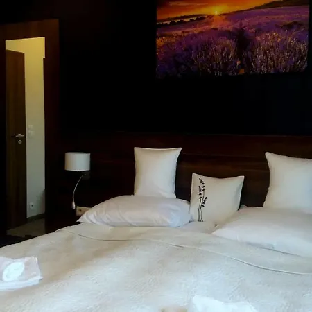 Koszarka Venue & Resort