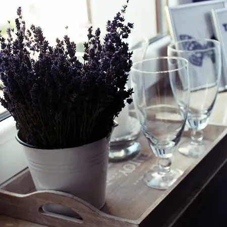 Ośrodek wypoczynkowy Koszarka Venue&spa