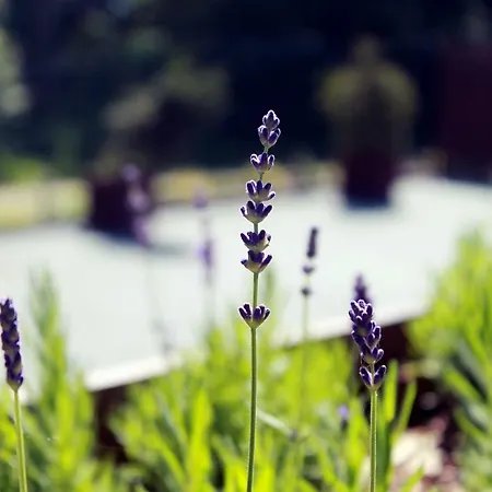 Koszarka Venue&spa Ośrodek wypoczynkowy Gródek Nad Dunajcem