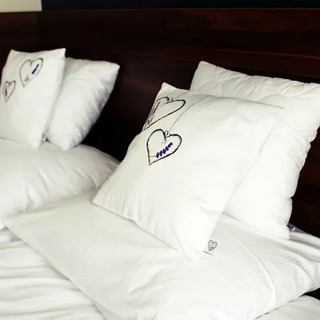 Koszarka Venue&spa *