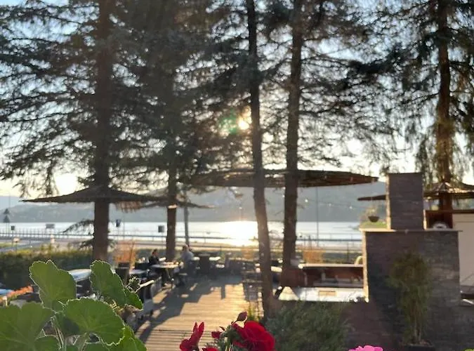 Koszarka Venue & Station touristique *