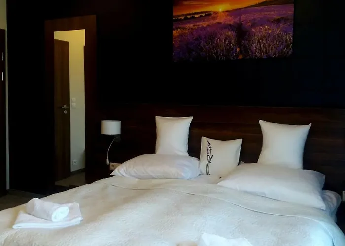 Koszarka Venue & Station touristique