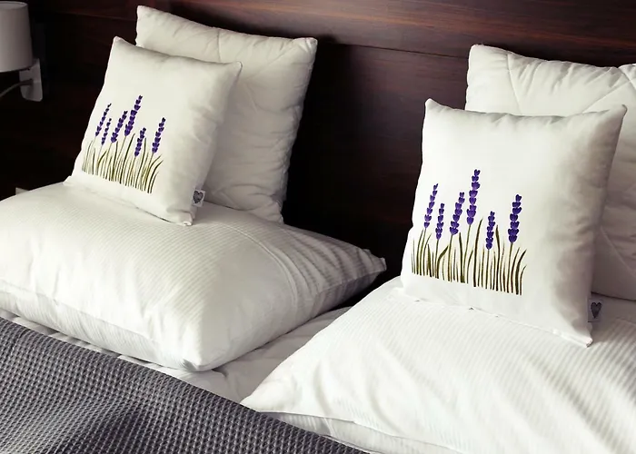 Koszarka Venue & Station touristique *