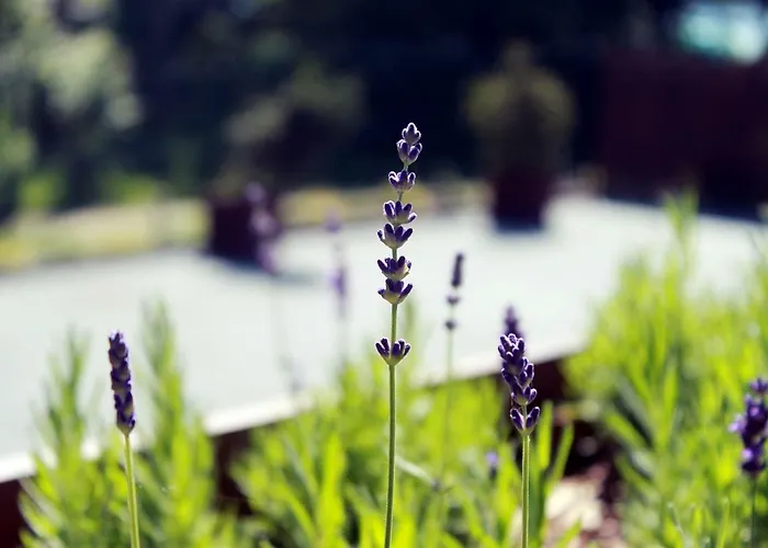 Koszarka Venue & Station touristique Gródek Nad Dunajcem